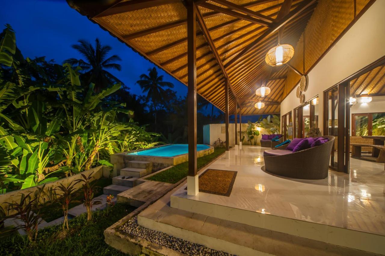 Axros Villa Ubud  Exterior photo